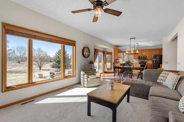 13880 Clare Downs Way, Rosemount, MN 55068