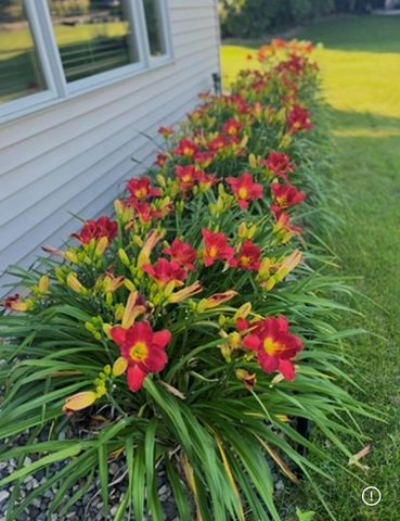 13880 Clare Downs Way, Rosemount, MN 55068