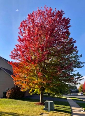 13880 Clare Downs Way, Rosemount, MN 55068