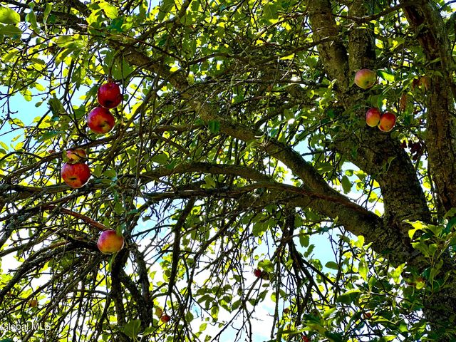 228 Brower Road, Palatine Bridge, NY 13428