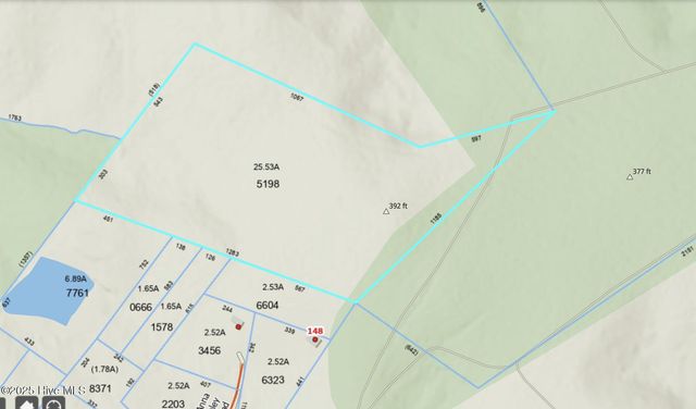 0 Anna Mckinley Road, Rockingham, NC 28379