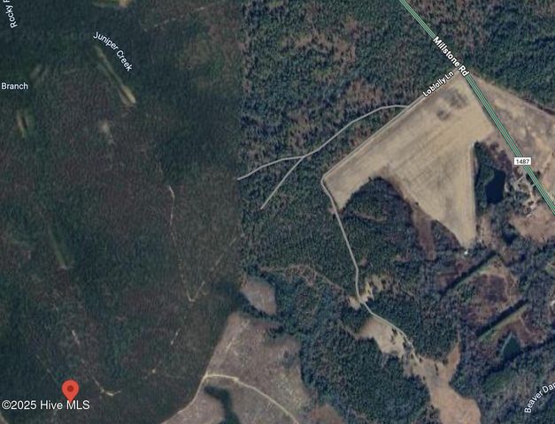 0 Anna Mckinley Road, Rockingham, NC 28379