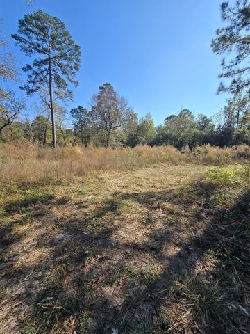 10287 Wanda Lane, Montgomery, TX 77316