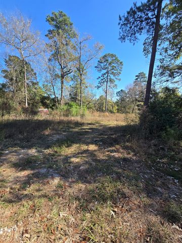 10287 Wanda Lane, Montgomery, TX 77316