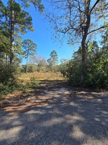 10287 Wanda Lane, Montgomery, TX 77316