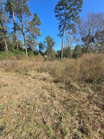 10287 Wanda Lane, Montgomery, TX 77316