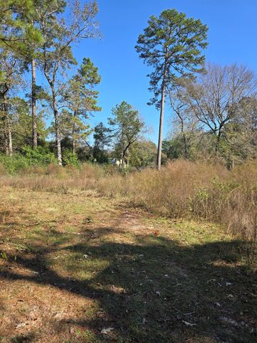 10287 Wanda Lane, Montgomery, TX 77316