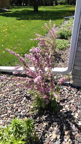 309 2nd Court SE, Grand Meadow, MN 55936