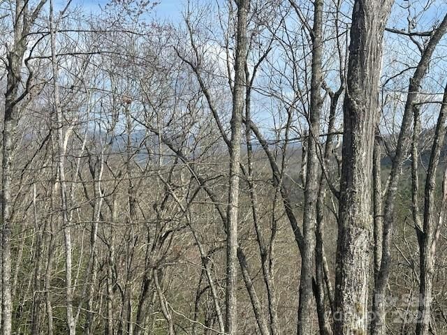 371 E Falls View Drive, Pisgah Forest, NC 28768