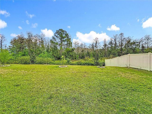 3841 GUERNSEY BEND, St Cloud, FL 34772