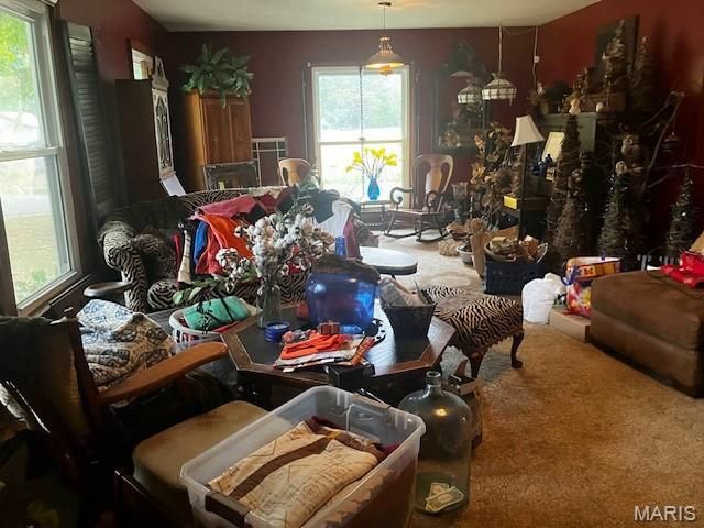 622 W Martin Avenue, Campbell, MO 63933