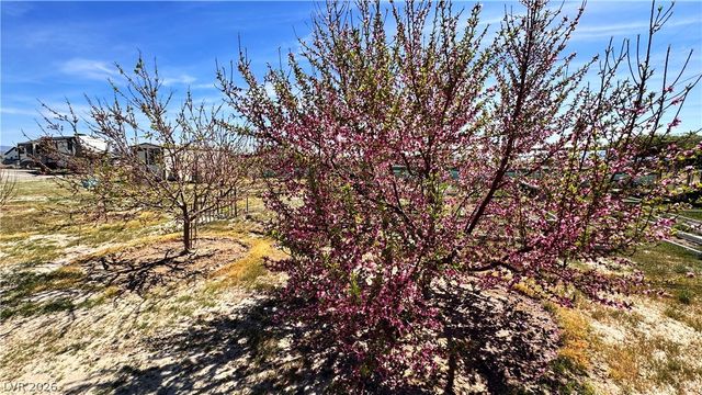 2860 South Rainbow Avenue, Pahrump, NV 89048