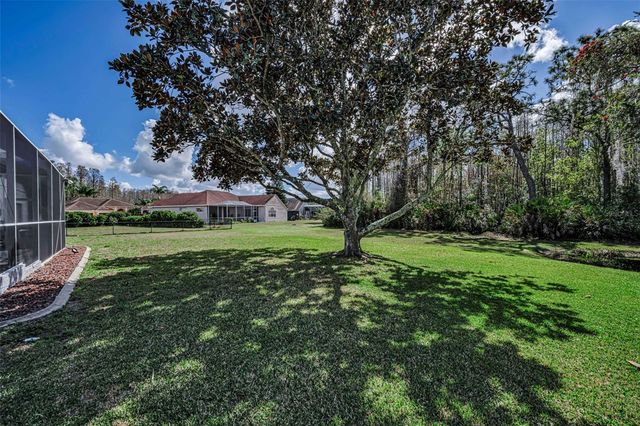 1151 ARLINBROOK DRIVE, Trinity, FL 34655