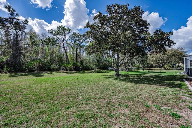 1151 ARLINBROOK DRIVE, Trinity, FL 34655