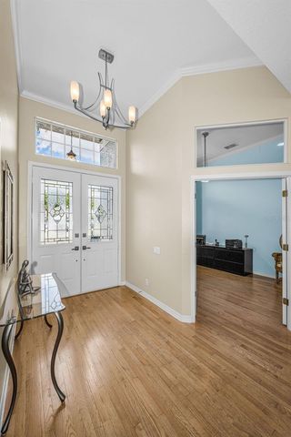 1151 ARLINBROOK DRIVE, Trinity, FL 34655