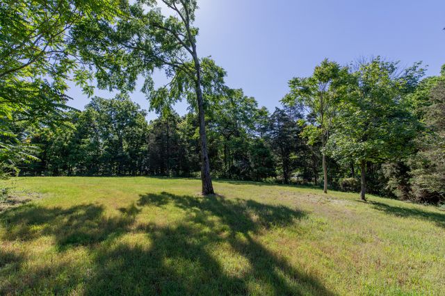 1591 Brinkley Branch Rd, Hendersonville, TN 37075
