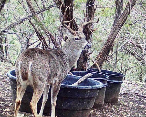 1455 Willow Springs, Pipe Creek, TX 78063