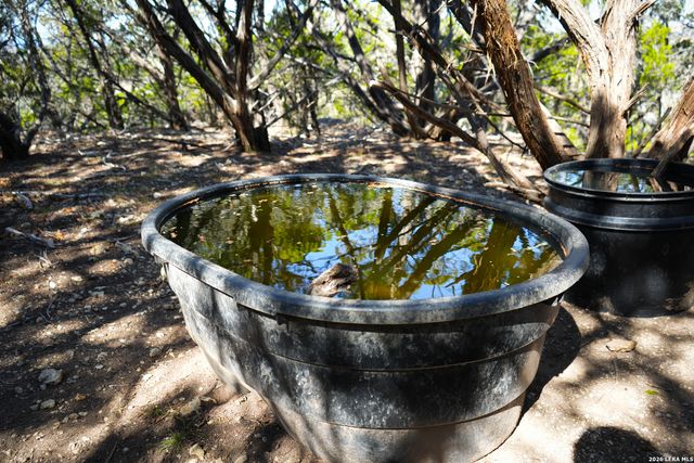 1455 Willow Springs, Pipe Creek, TX 78063