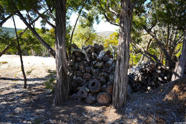 1455 Willow Springs, Pipe Creek, TX 78063