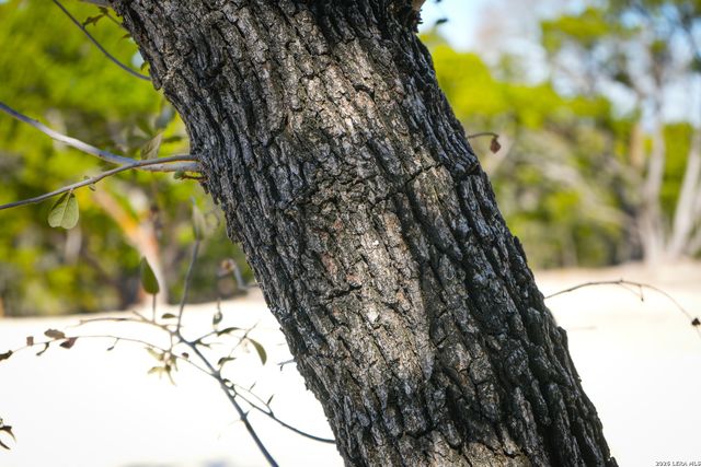 1455 Willow Springs, Pipe Creek, TX 78063