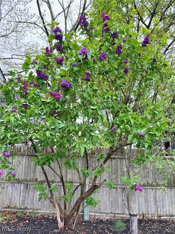 1381 Park Row, Lakewood, OH 44107