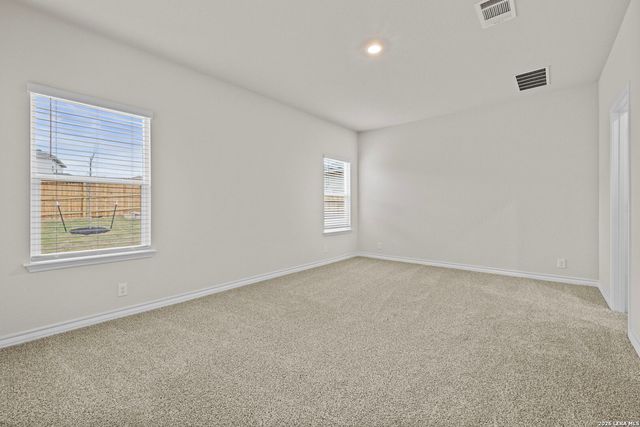 209 Squacco Heron, San Antonio, TX 78253