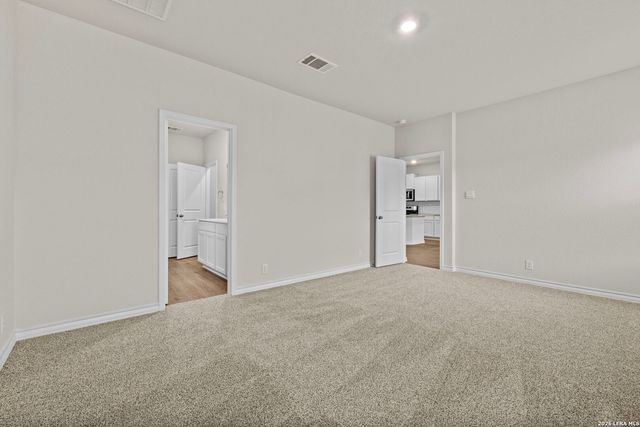 209 Squacco Heron, San Antonio, TX 78253