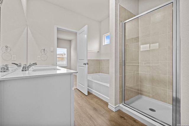 209 Squacco Heron, San Antonio, TX 78253