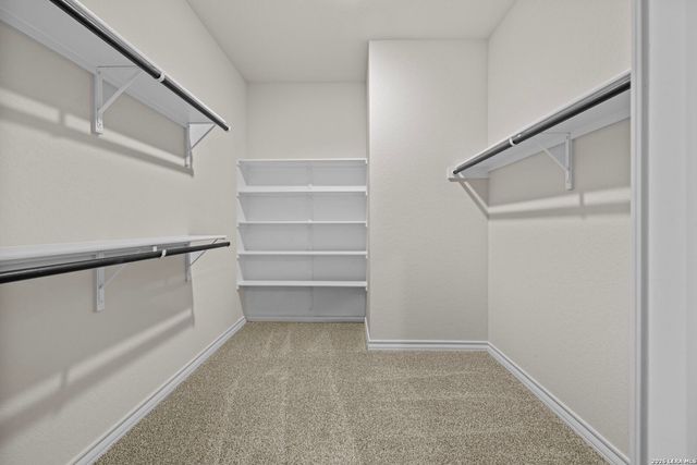 209 Squacco Heron, San Antonio, TX 78253