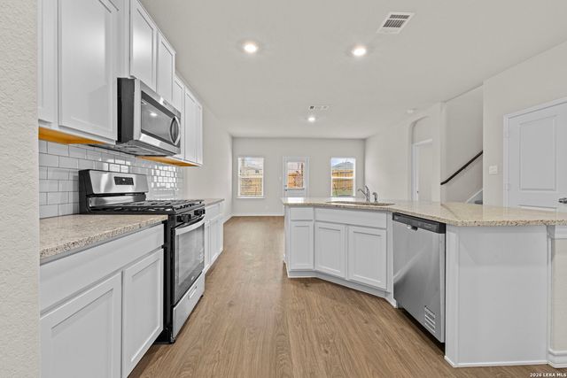 209 Squacco Heron, San Antonio, TX 78253