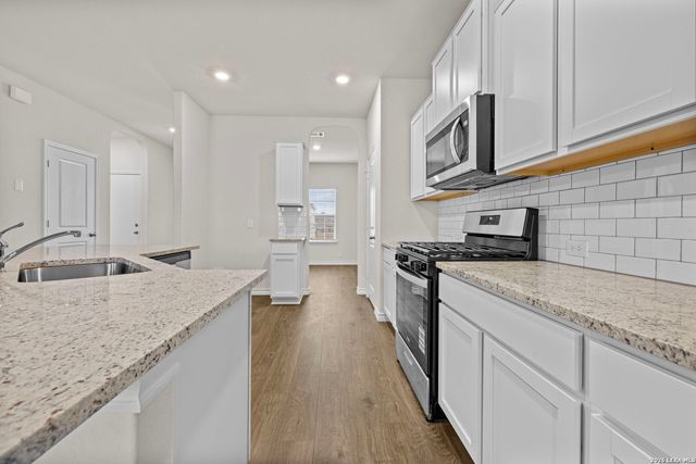 209 Squacco Heron, San Antonio, TX 78253