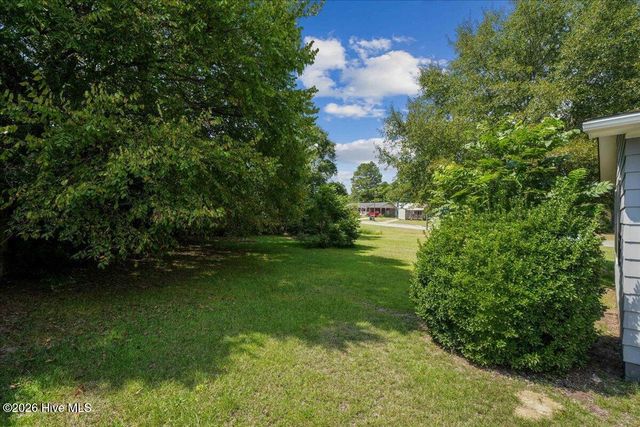 204 E Branch Street, Benson, NC 27504