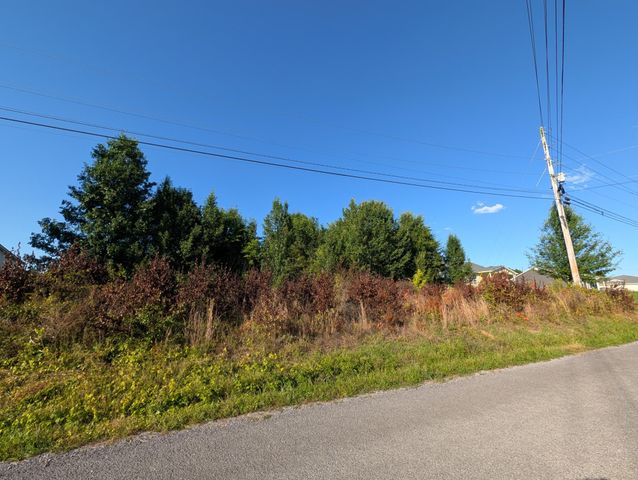 1174 Crosby Lane, Spring City, TN 37381