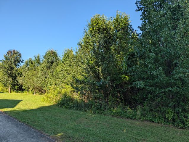1174 Crosby Lane, Spring City, TN 37381