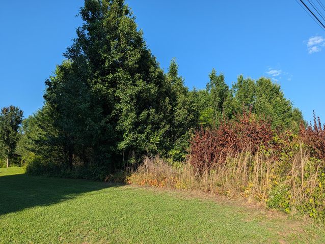 1174 Crosby Lane, Spring City, TN 37381