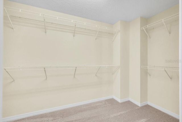 16316 BAYBERRY VIEW DRIVE, Lithia, FL 33547