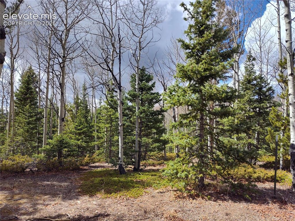 12201 S Highway 67 NA, Cripple Creek, CO 80813 — photo 4