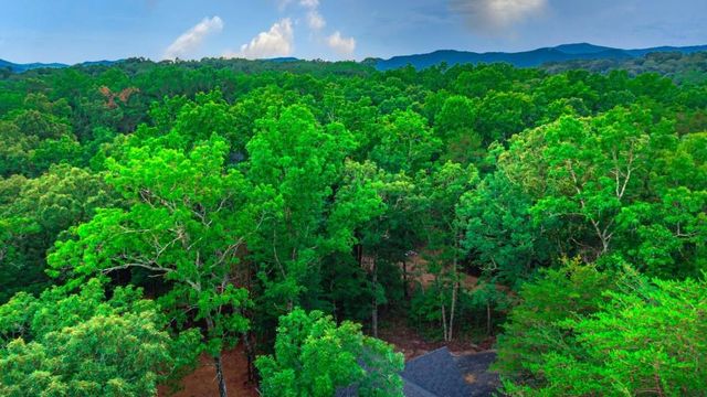 241 Lees Ride, Mccaysville, GA 30555