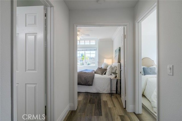 5 Telliz, Rancho Santa Margarita, CA 92688