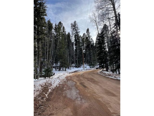 222 Banner Trl, Florissant, CO 80816