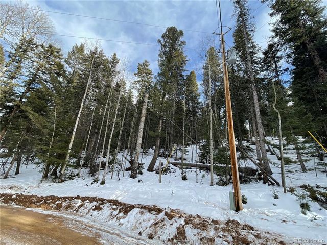 222 Banner Trl, Florissant, CO 80816
