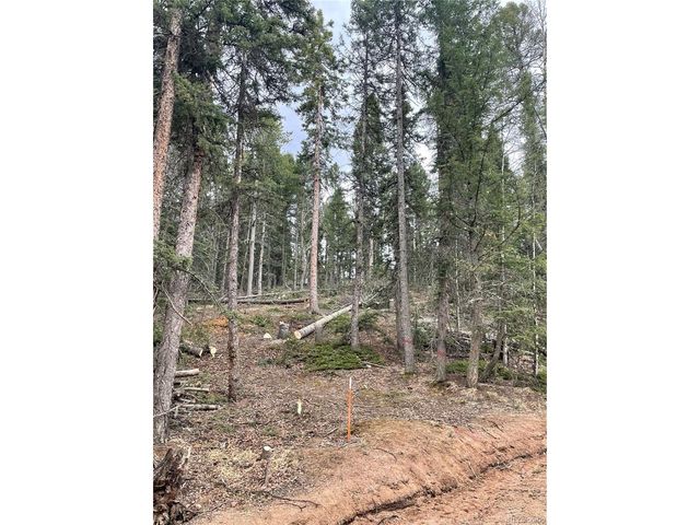 222 Banner Trl, Florissant, CO 80816