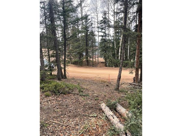 222 Banner Trl, Florissant, CO 80816
