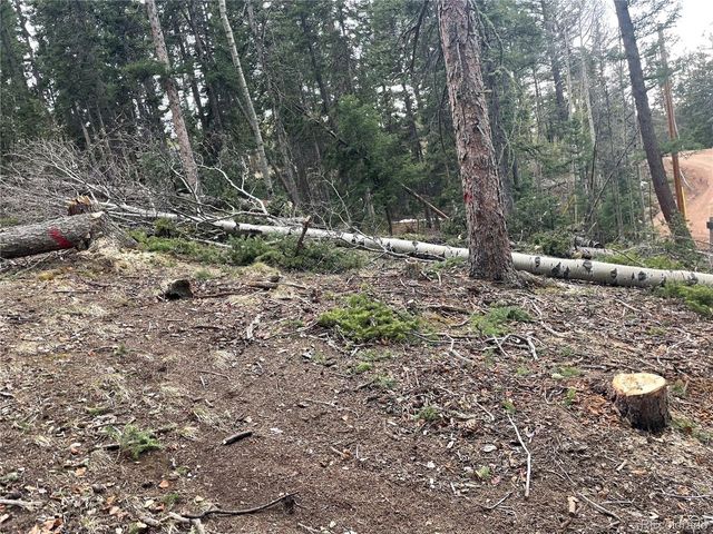 222 Banner Trl, Florissant, CO 80816