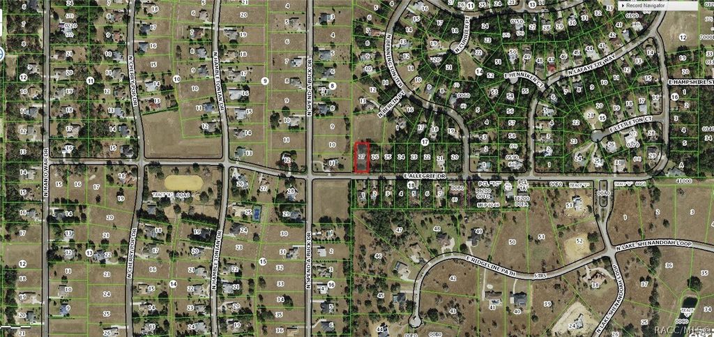 1429 E Allegrie Drive, Inverness, FL 34453