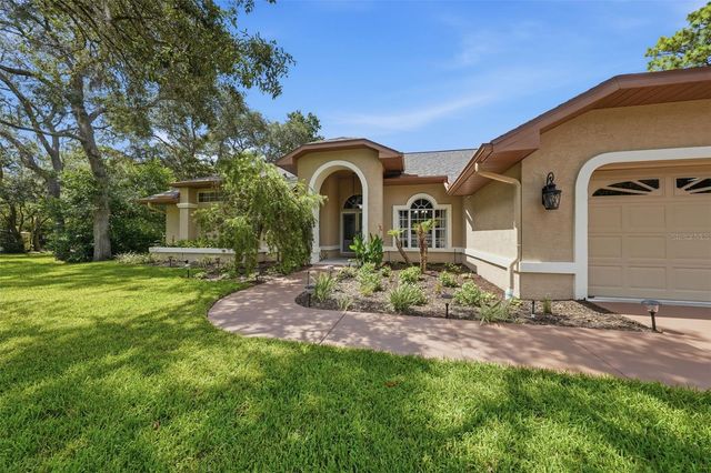 11109 GOLDEN EAGLE AVENUE, Weeki Wachee, FL 34613
