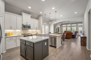 229 N Bearkat Court, Montgomery, TX 77316