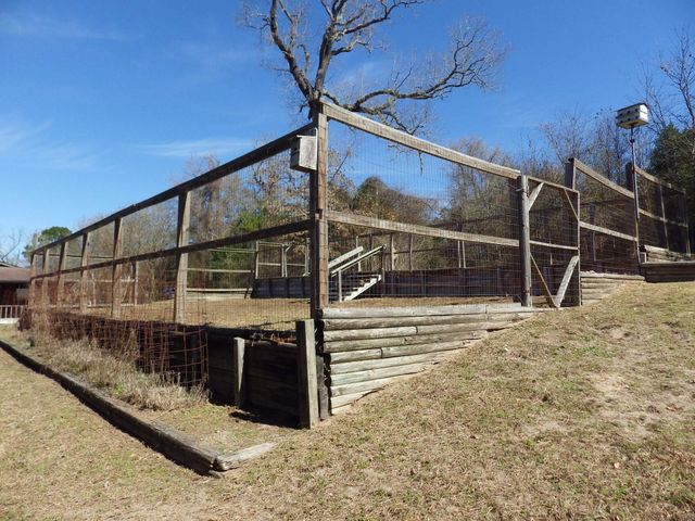 17 Lake Drive, Huntsville, TX 77320