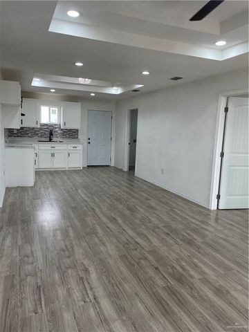 2421 Trinidad Luna Lane, Alton, TX 78573