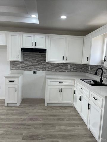 2421 Trinidad Luna Lane, Alton, TX 78573